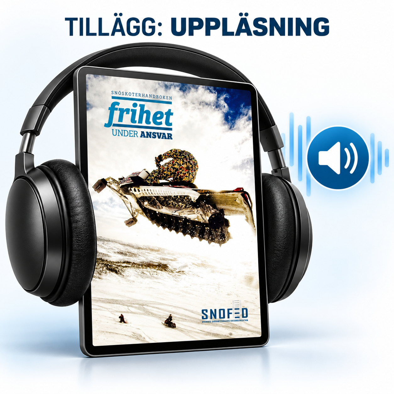 Uppläsningstillägg